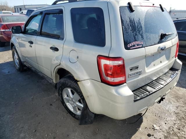 2008 Ford Escape XLT