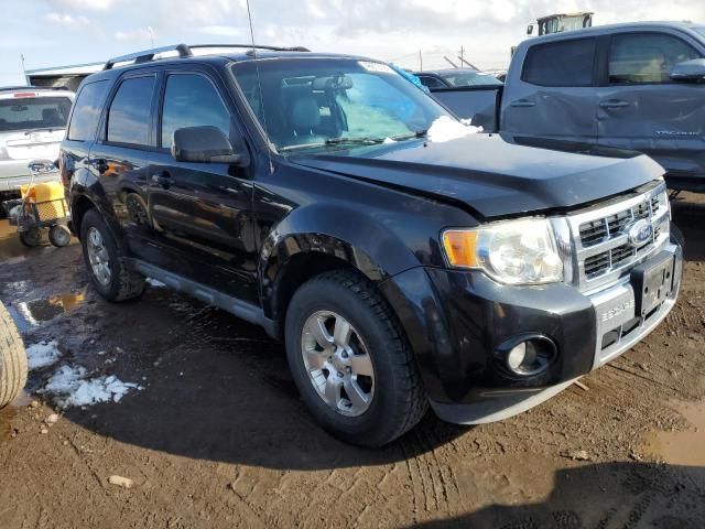 2011 Ford Escape Limited