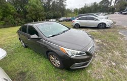 Vehiculos salvage en venta de Copart Apopka, FL: 2015 Hyundai Sonata SE