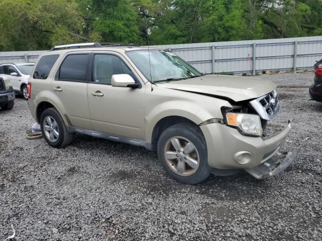 2010 Ford Escape Limited