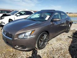 Nissan Maxima S Vehiculos salvage en venta: 2014 Nissan Maxima S