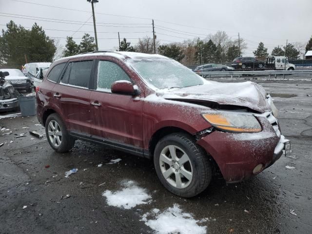 2009 Hyundai Santa FE SE