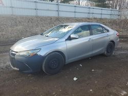 Salvage cars for sale from Copart Davison, MI: 2015 Toyota Camry LE