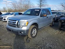 Salvage cars for sale from Copart Windsor, NJ: 2010 Ford F150 Supercrew