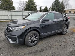 Salvage cars for sale at Albany, NY auction: 2022 Honda CR-V EXL