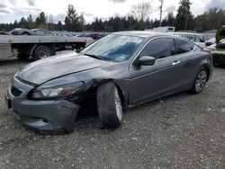 2010 Honda Accord EXL en venta en Graham, WA