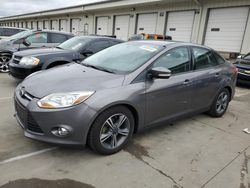 Ford Focus salvage cars for sale: 2014 Ford Focus SE