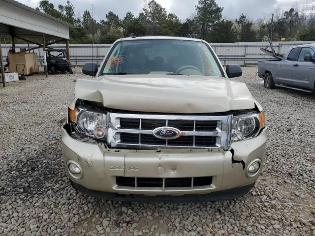 2010 Ford Escape XLT