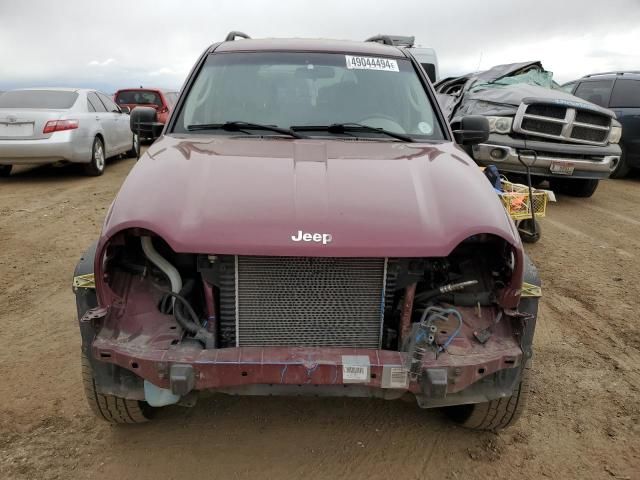 2002 Jeep Liberty Limited