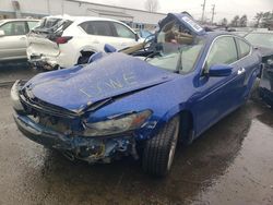 Salvage cars for sale at New Britain, CT auction: 2008 Honda Accord EXL