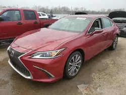 Salvage cars for sale at Louisville, KY auction: 2020 Lexus ES 350