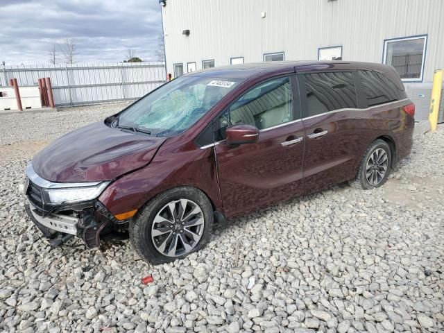 2021 Honda Odyssey EXL