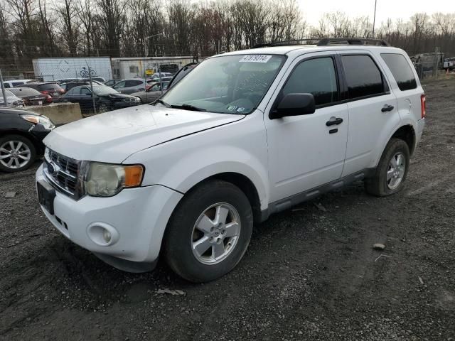 2011 Ford Escape XLT