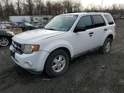 2011 Ford Escape XLT for sale in Finksburg, MD