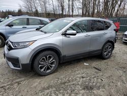 Honda salvage cars for sale: 2020 Honda CR-V EX