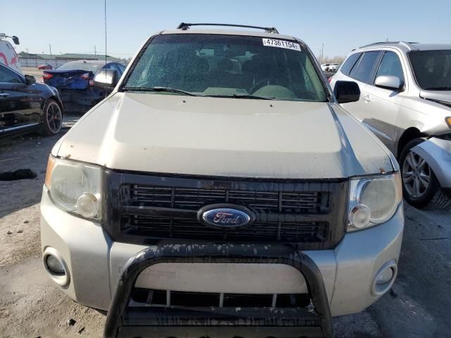 2008 Ford Escape XLT