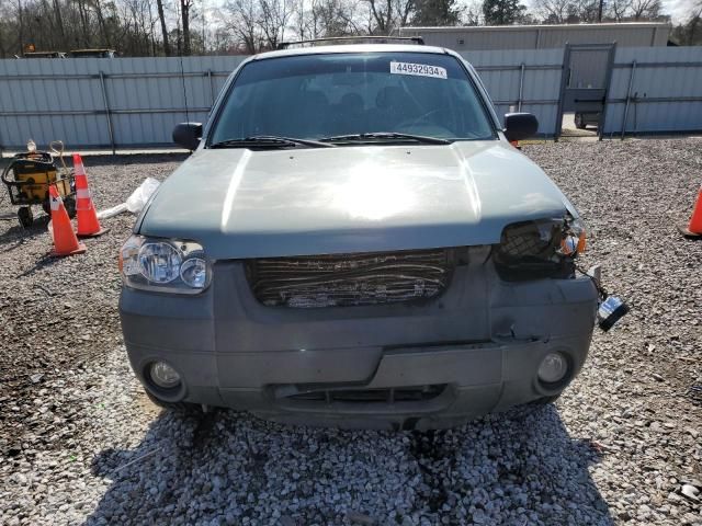 2006 Ford Escape XLT