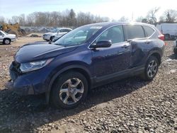 Salvage cars for sale at Pennsburg, PA auction: 2019 Honda CR-V EX