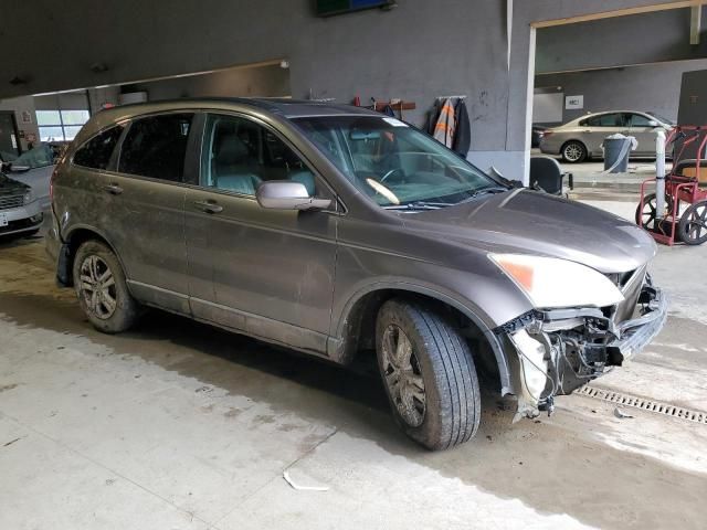 2010 Honda CR-V EXL