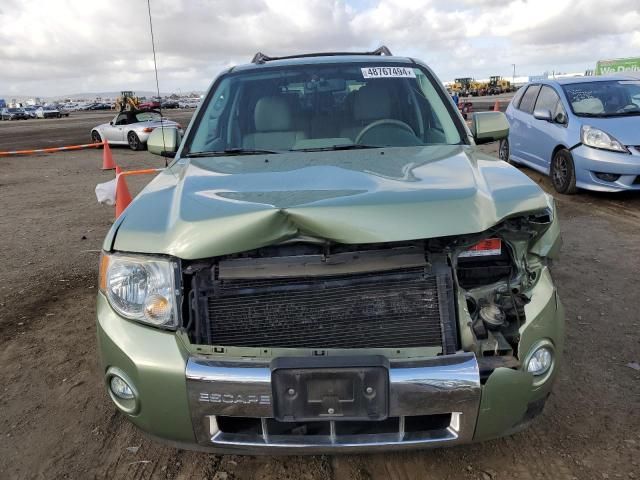 2010 Ford Escape Hybrid