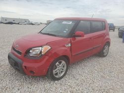 Salvage cars for sale from Copart Temple, TX: 2011 KIA Soul +