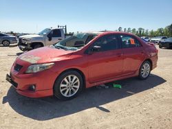 Salvage cars for sale at Houston, TX auction: 2010 Toyota Corolla Base