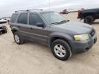 2006 Ford Escape XLT