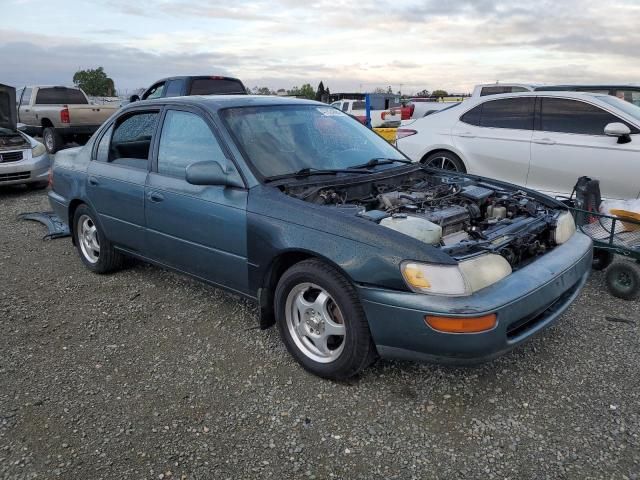 1995 Toyota Corolla LE