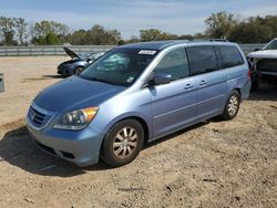 Honda salvage cars for sale: 2010 Honda Odyssey EXL