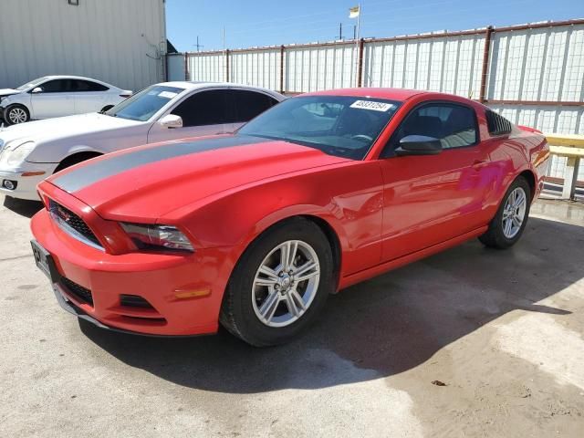 2013 Ford Mustang