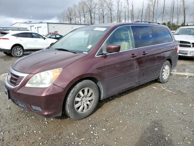 2008 Honda Odyssey EXL