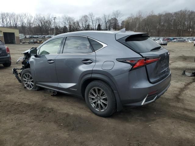 2019 Lexus NX 300H