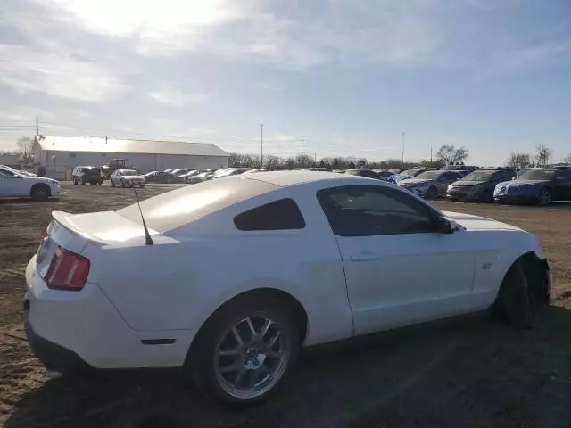 2010 Ford Mustang GT