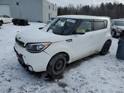 Salvage cars for sale at Cookstown, ON auction: 2016 KIA Soul +