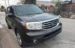 Salvage cars for sale at West Palm Beach, FL auction: 2013 Honda Pilot EX