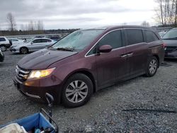 2014 Honda Odyssey EXL en venta en Arlington, WA