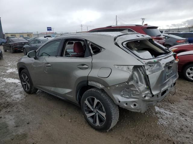 2021 Lexus NX 300H Base