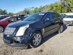 2010 Cadillac SRX Luxury Collection