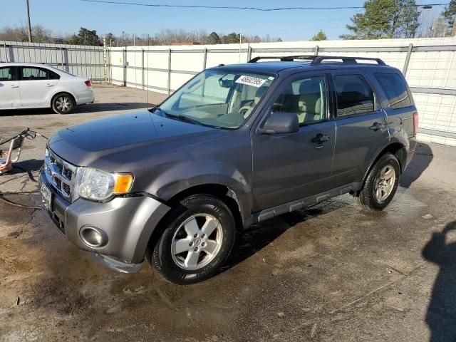 2012 Ford Escape XLT