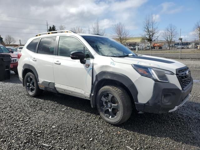 2023 Subaru Forester Wilderness