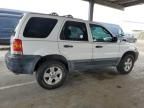 2005 Ford Escape XLT