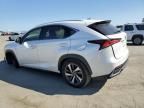 2019 Lexus NX 300H