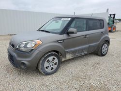 Salvage cars for sale at Arcadia, FL auction: 2013 KIA Soul