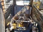 2006 Caterpillar 2006 Caterillar 262B