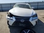 2019 Lexus NX 300H