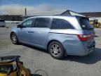 2011 Honda Odyssey EXL