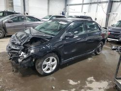 Salvage cars for sale at Ham Lake, MN auction: 2013 Toyota Corolla Base