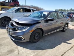 Salvage cars for sale at Windsor, NJ auction: 2019 Honda Civic LX