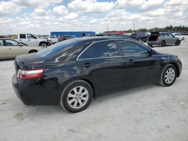 2009 Toyota Camry Hybrid