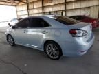 2010 Lexus HS 250H